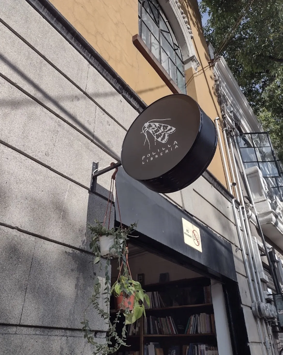 Polilla Librería